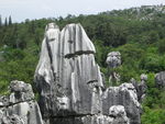 石林风景