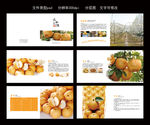 高档 梨画册 psd分层图