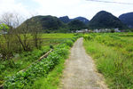 乡村小路