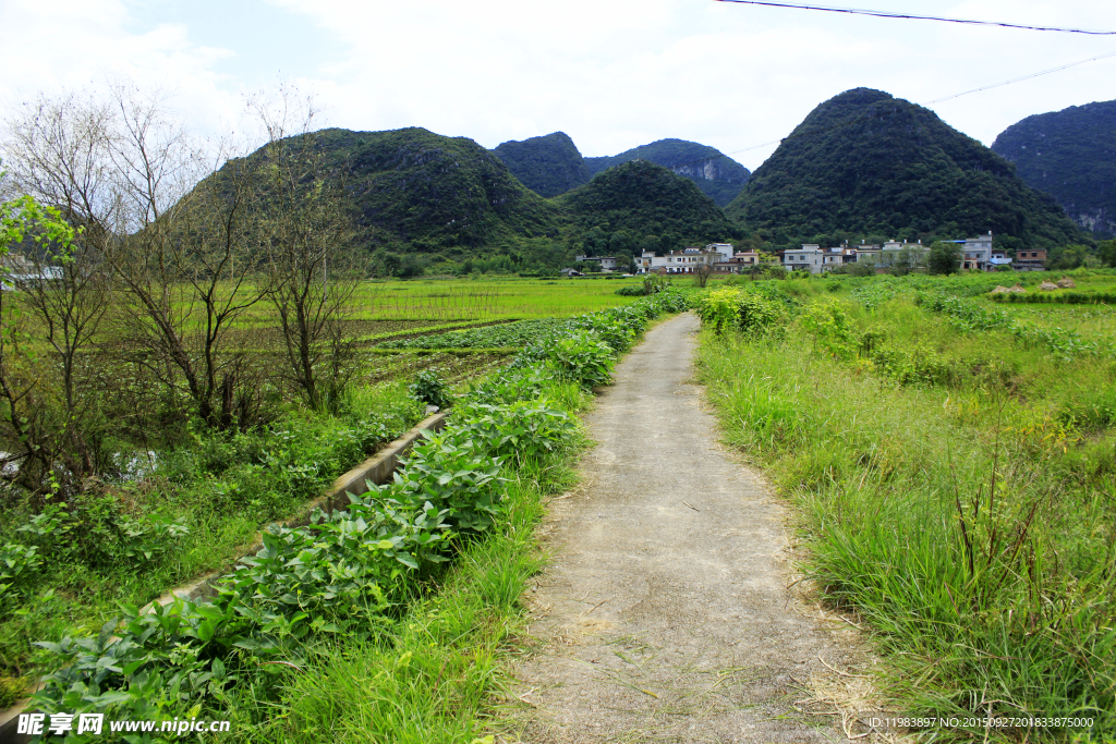 乡村小路