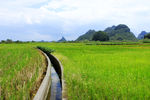 田野沟渠