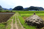 田间道路