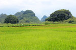 会仙宝山风景