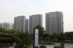 楼盘 高楼
