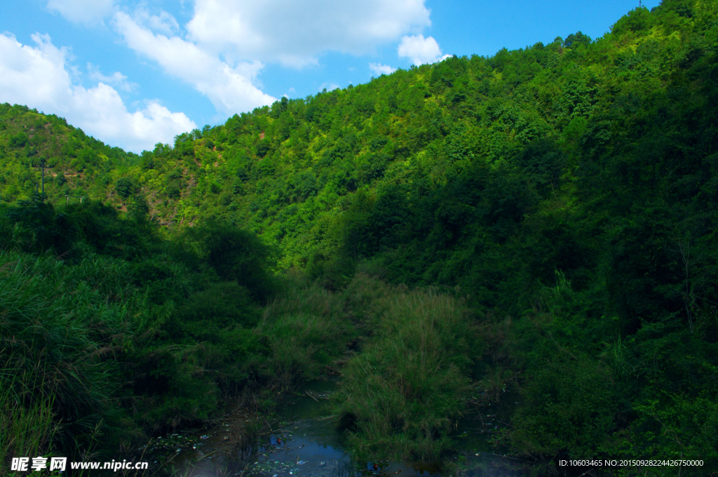 水库风光 山坑干流