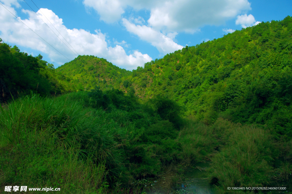 水库风光 山坑干流