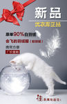 宣传海报