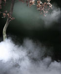 风景