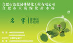 蔬菜名片