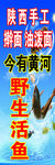 野生活鱼