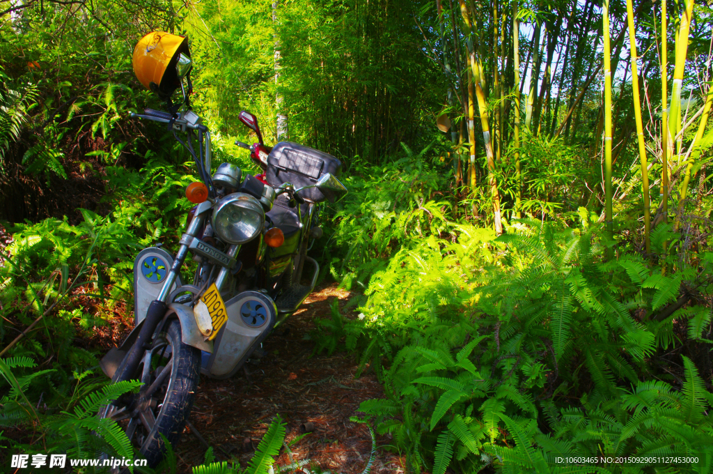 森林摩托车