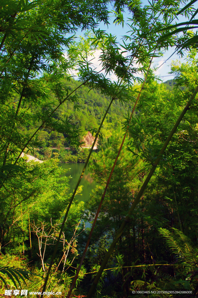 水库山水 森林竹木