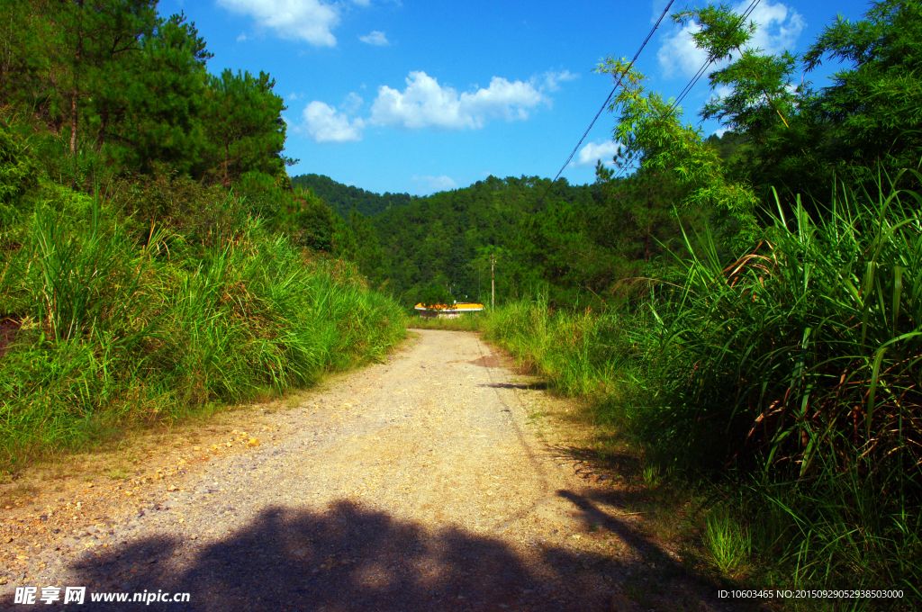 水库风光 库区公路