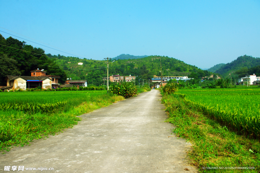 干才水库 田园风光