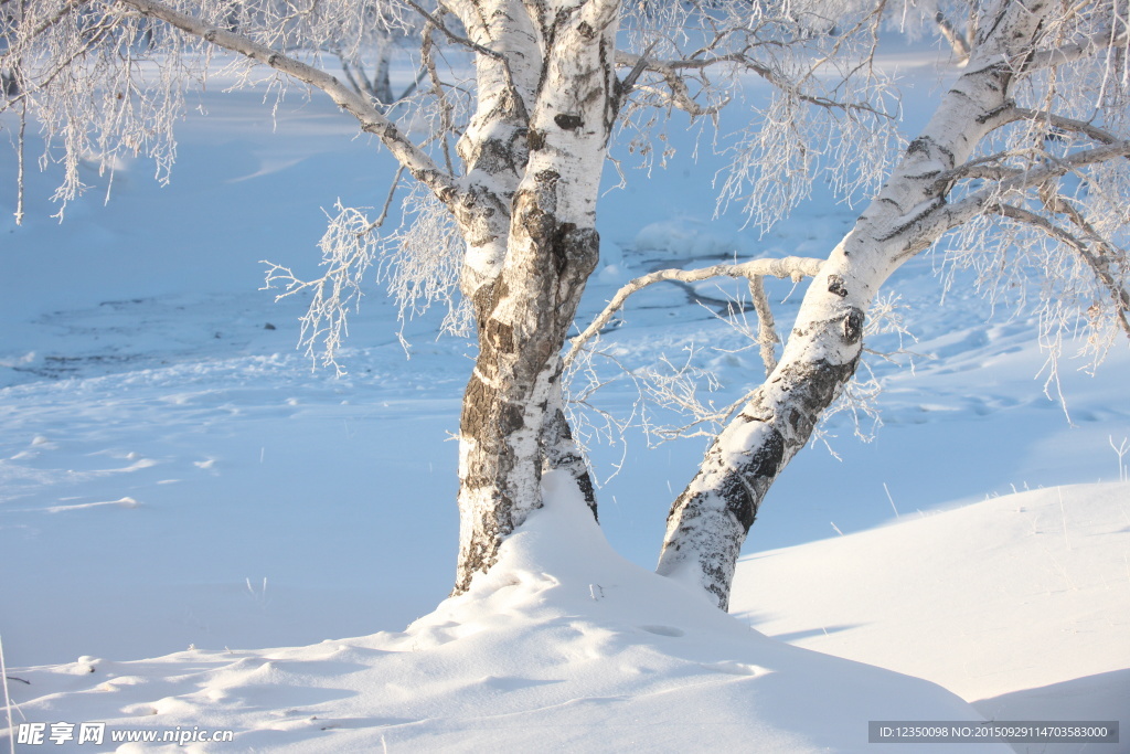 雪景