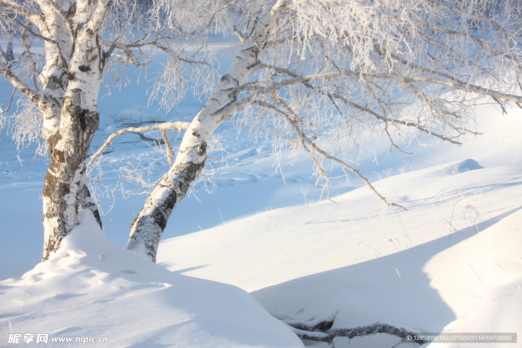 雪景