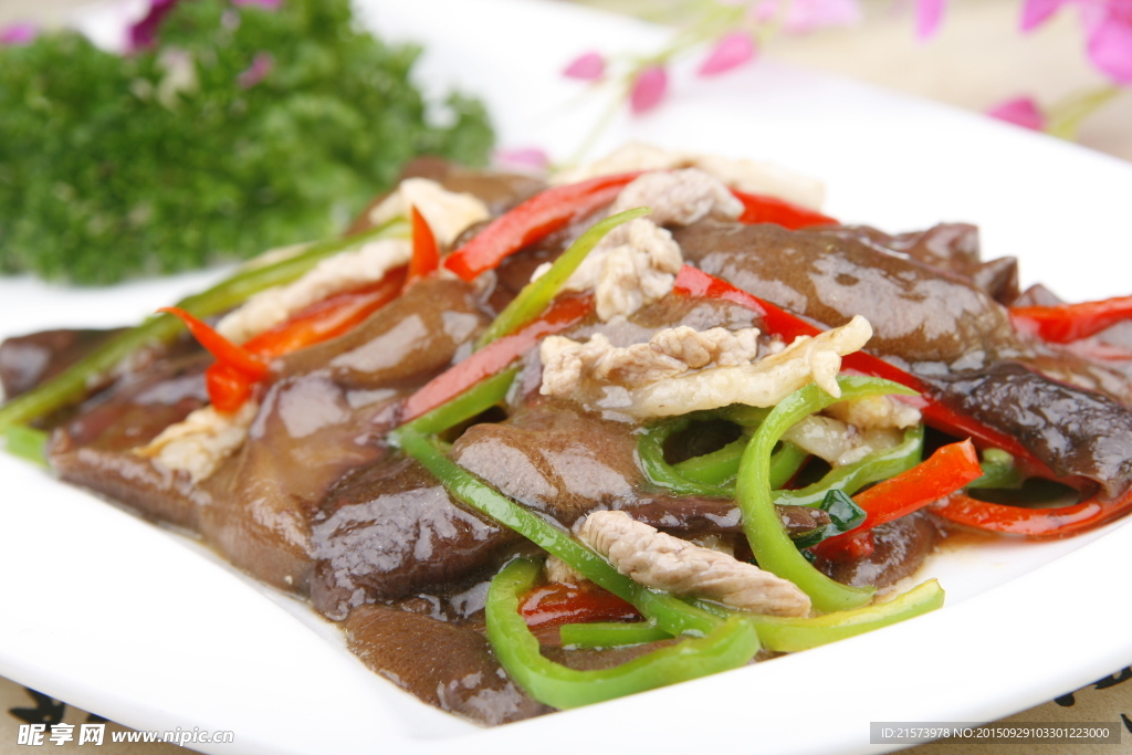 三丝牛肝菌