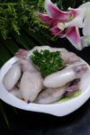 目鱼仔
