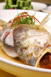 缅甸大黄鱼时价