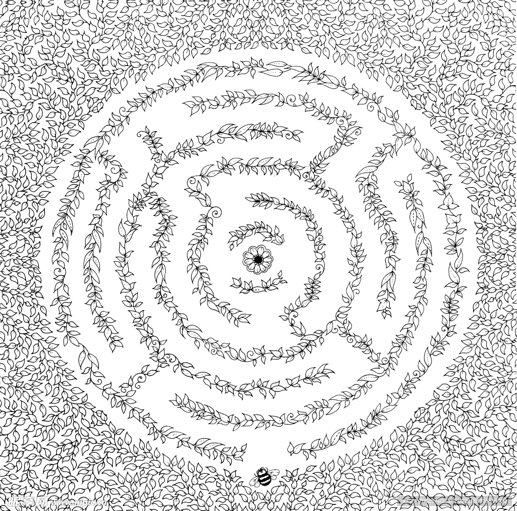 秘密花园  手绘