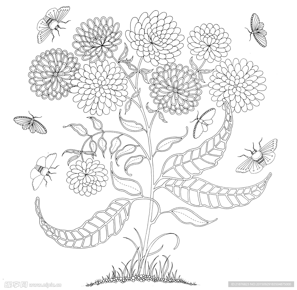 秘密花园  手绘