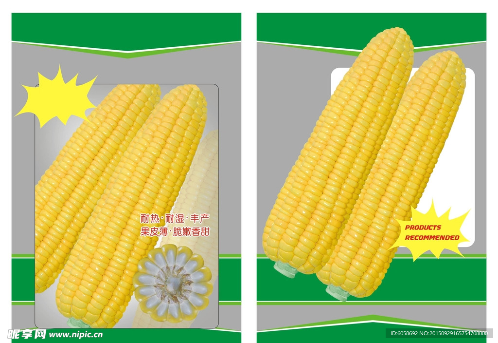 玉米