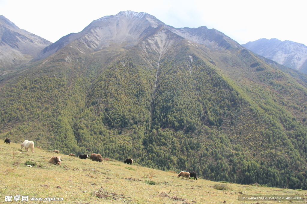 四姑娘山