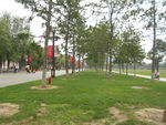 公园风景