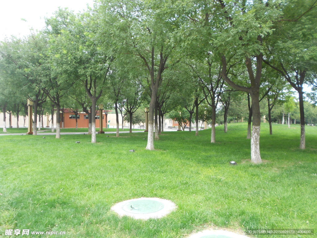公园风景