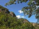 青山