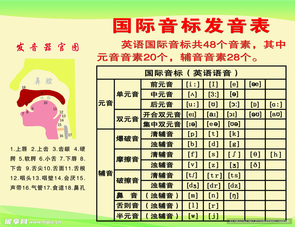 国际音标发音表