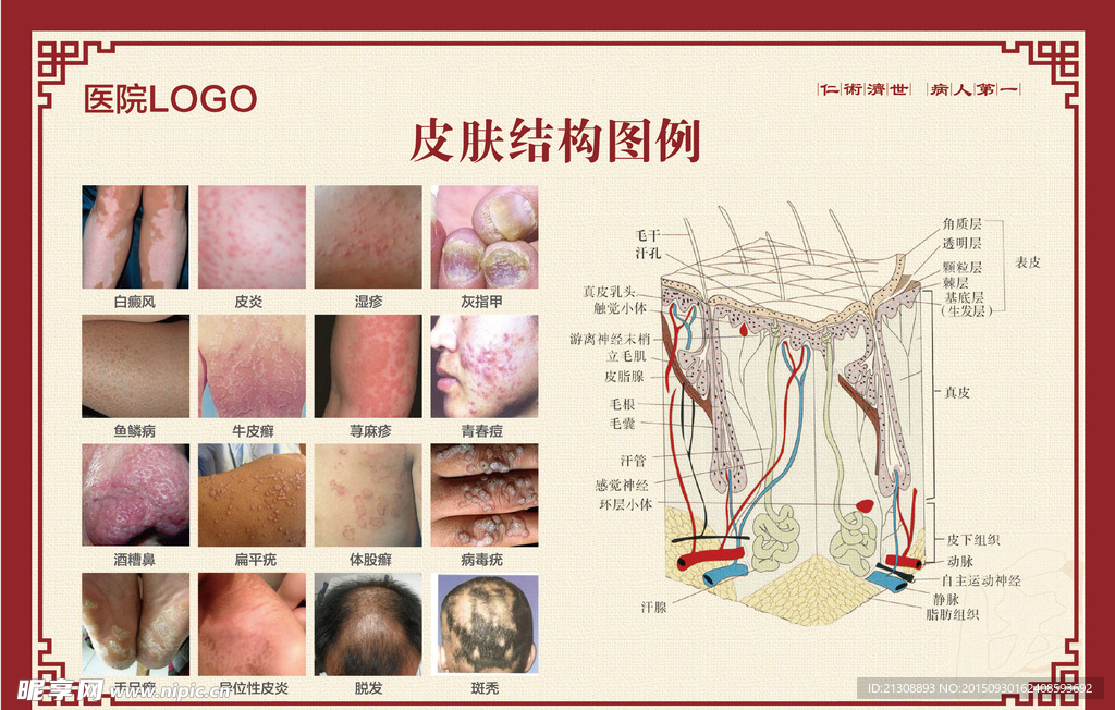 皮肤病结构案例