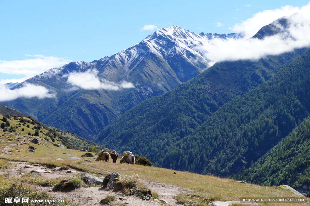 四姑娘山