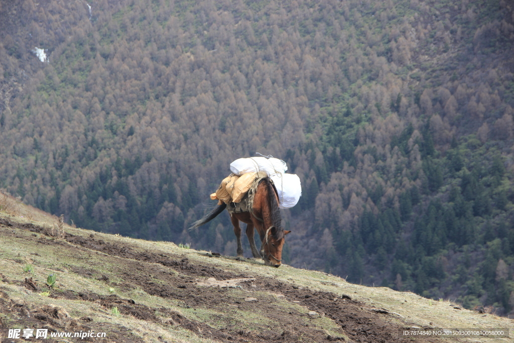 四姑娘山