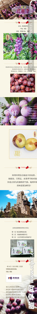 水果详情页面李子