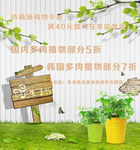绿色生活馆多肉植物打折