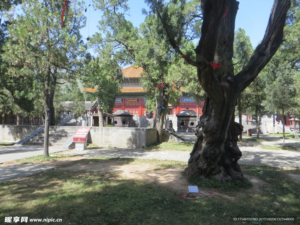 中岳庙风景