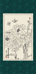 白描牡丹