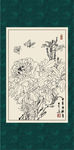 白描牡丹