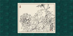 白描牡丹