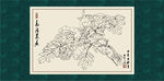 白描牡丹