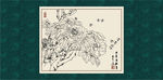 白描牡丹