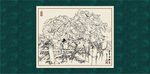 白描牡丹
