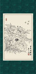 白描牡丹