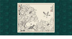 白描牡丹
