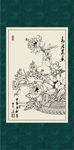 白描牡丹