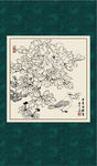 白描牡丹