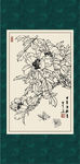 白描牡丹