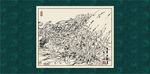 白描牡丹
