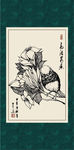 白描花鸟